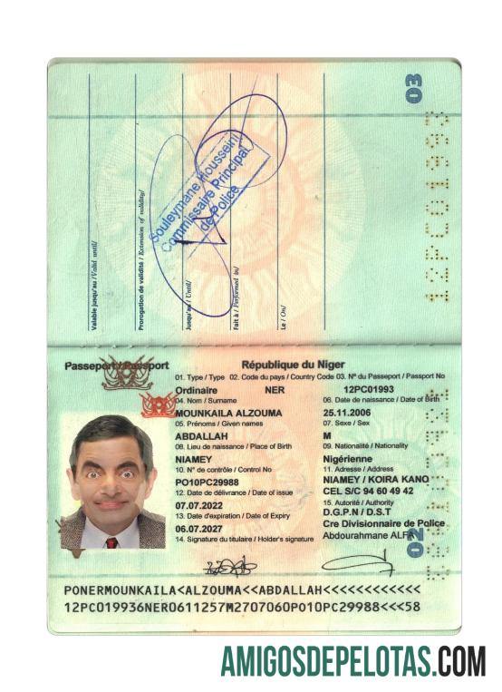 Passaporte da República do Níger 2022 presente amostra